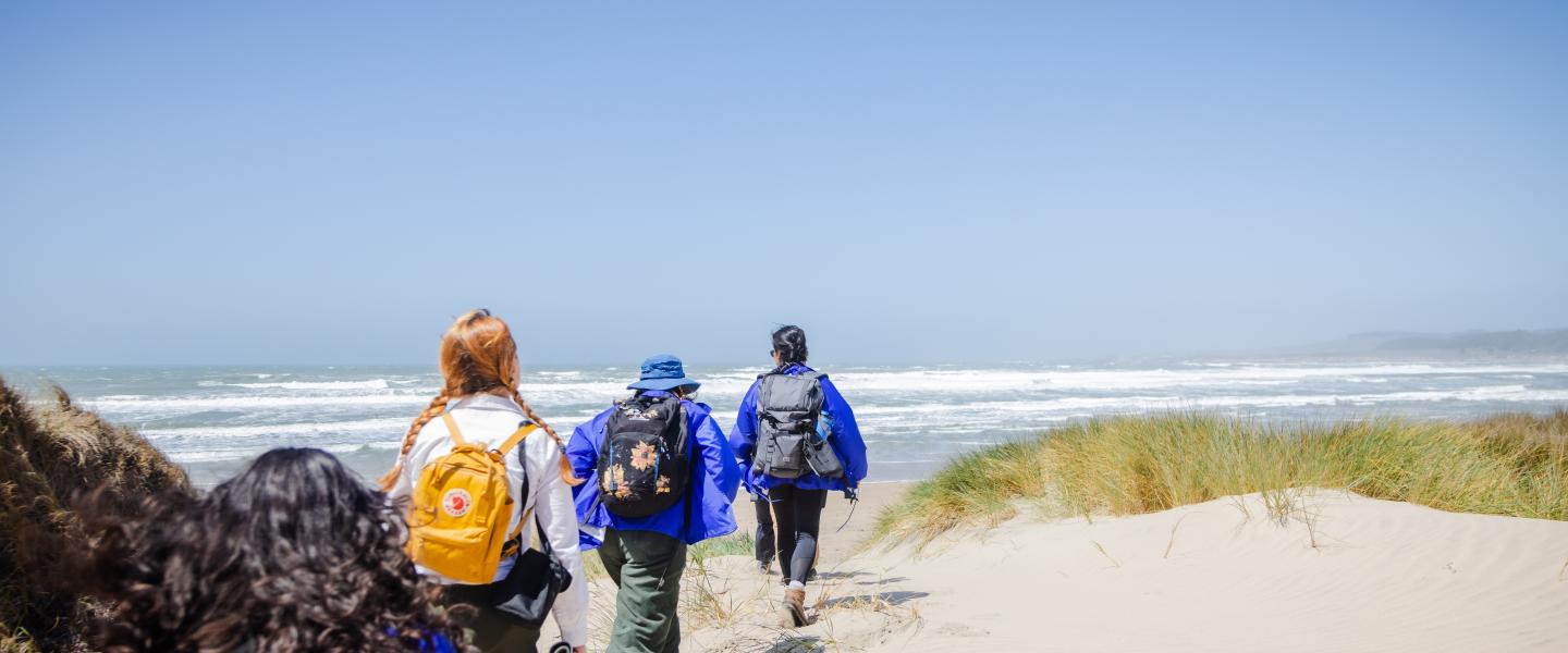 Fieldwork, Internships, and Exchange Programs