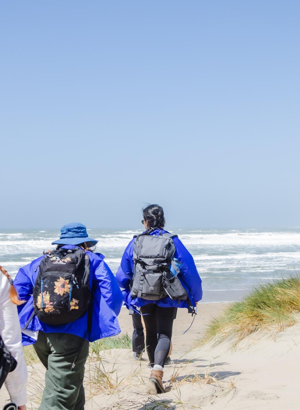 Fieldwork, Internships, and Exchange Programs