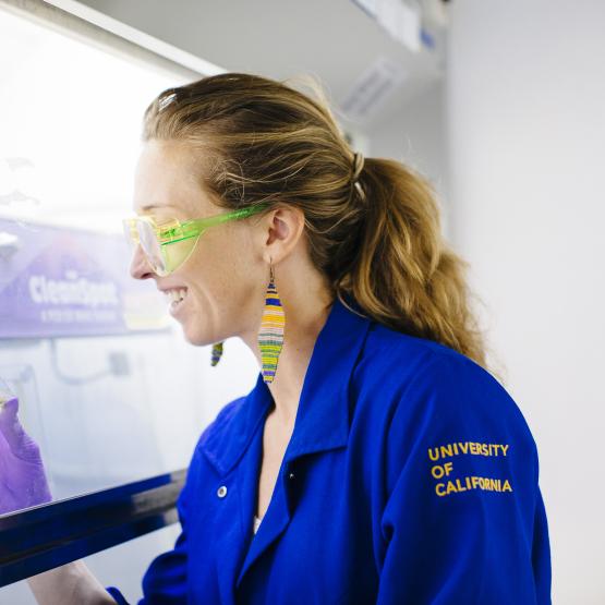 Research lab work