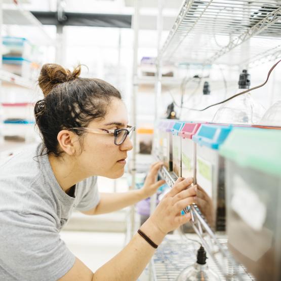 Coastal science research lab