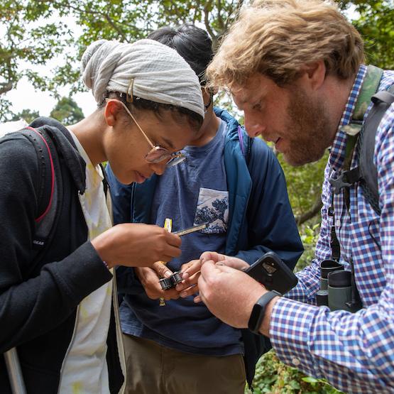 Students doing research outdoors