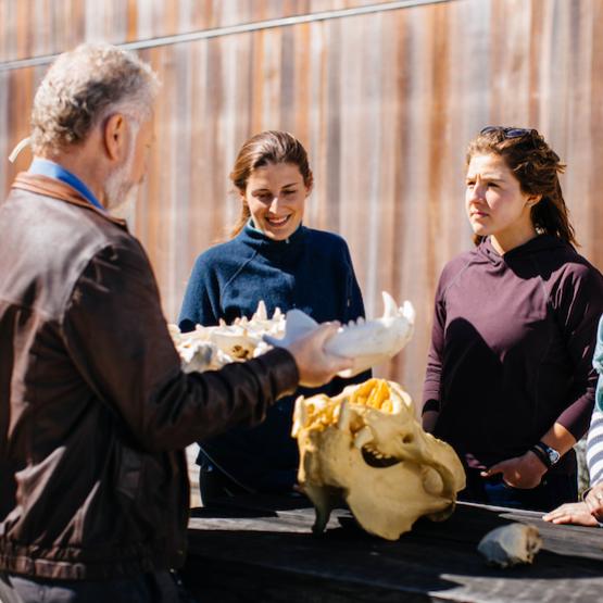 Professor and students outside examining marine mammal skeleton