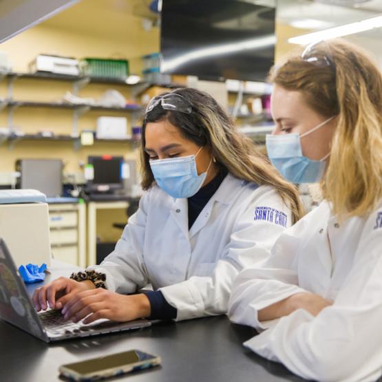 Students in a lab