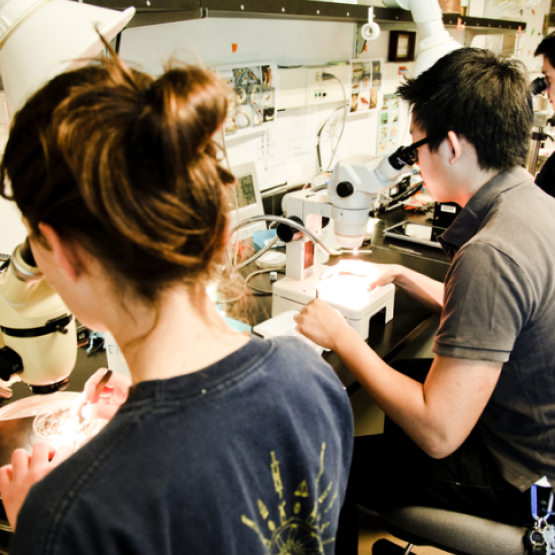 Biochemistry and Molecular biology