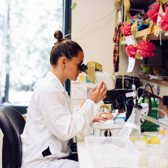 Biochemistry programs