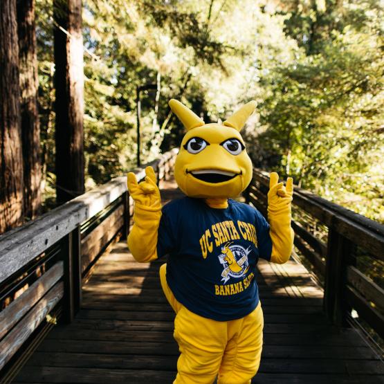 Sammy greeting visitors on the bridge in the forest