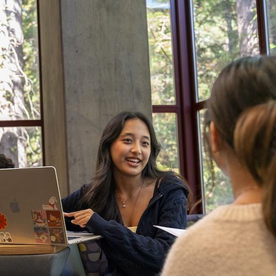 Students studying together at McHenry Library